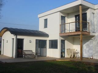 Maison en ossature bois sur deux niveaux, bardage peint, toit en voûte, balcon.